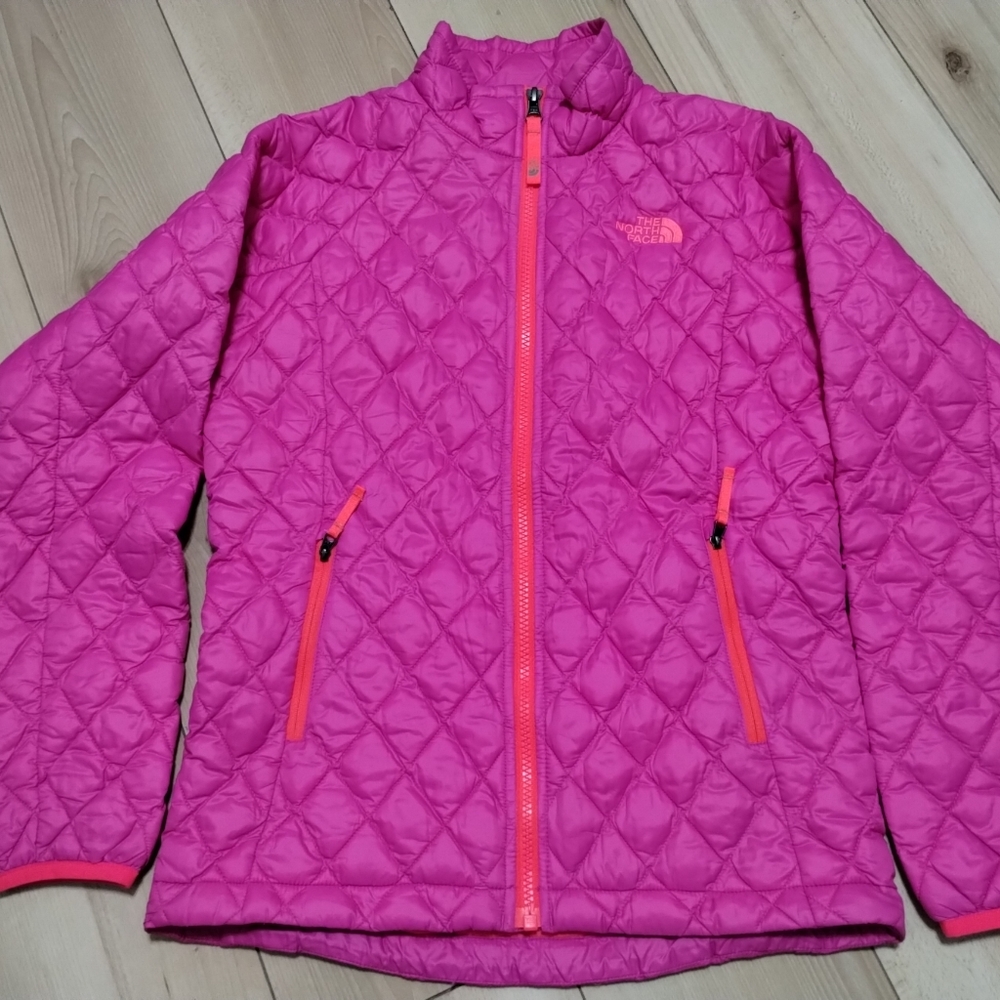 The north face jacket